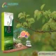 عود دست ساز جنگل بارانی یا رین فورست آمریا (Rain Forest Amreeya)